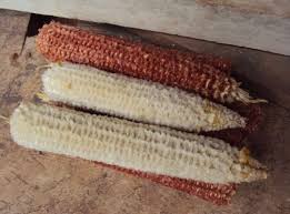 Maiz Marlo/Coronta De Maiz